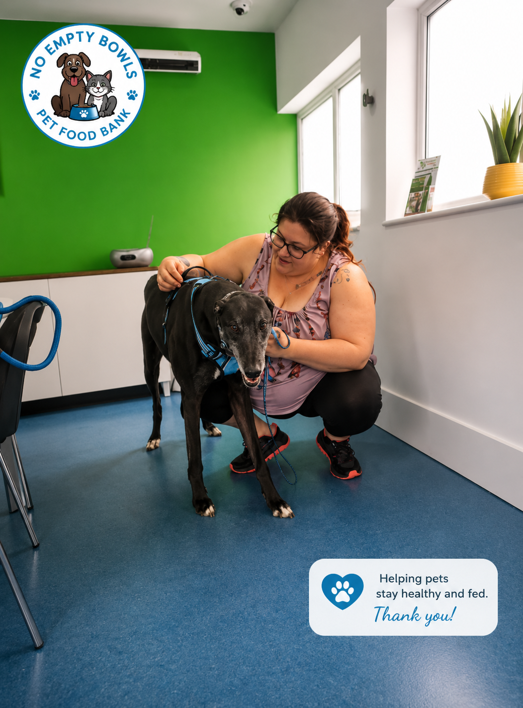Volunteer helping a dog after receiving support